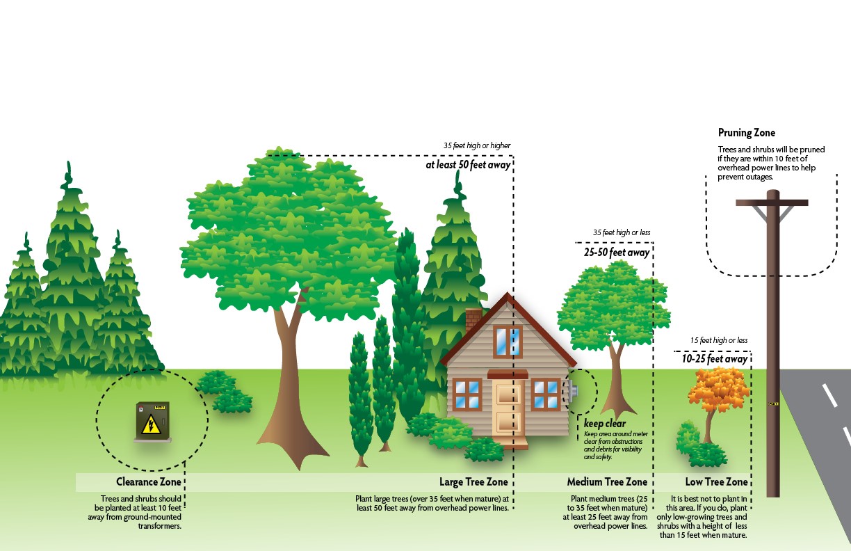 Trees and Utilities